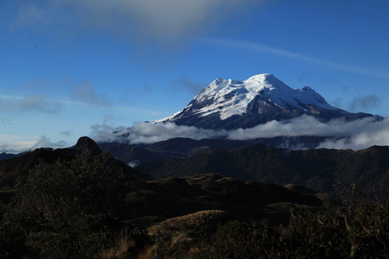 neblina forest