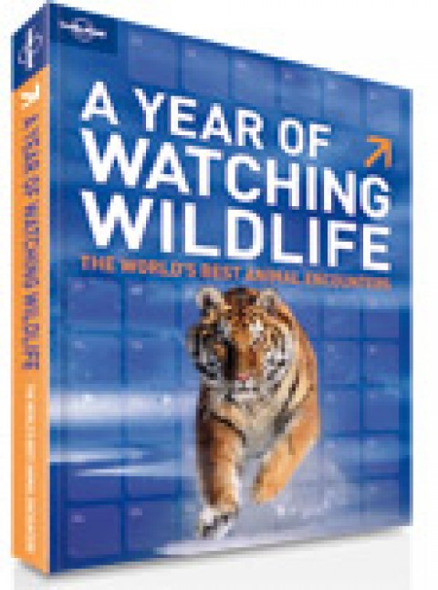Lonely Planet’s A Year of Watching Wildlife