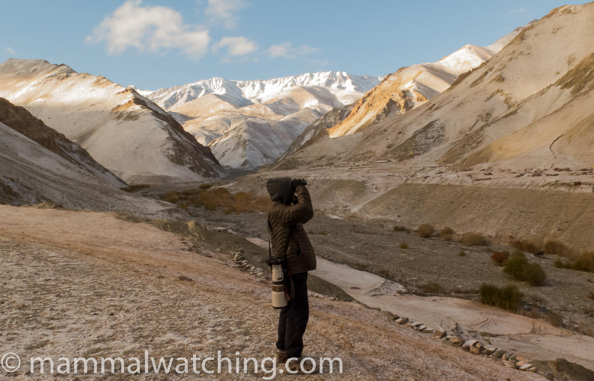 Jon Hall, Ladakh