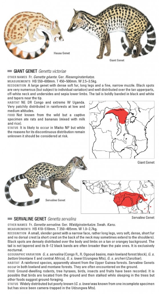 Genet ID