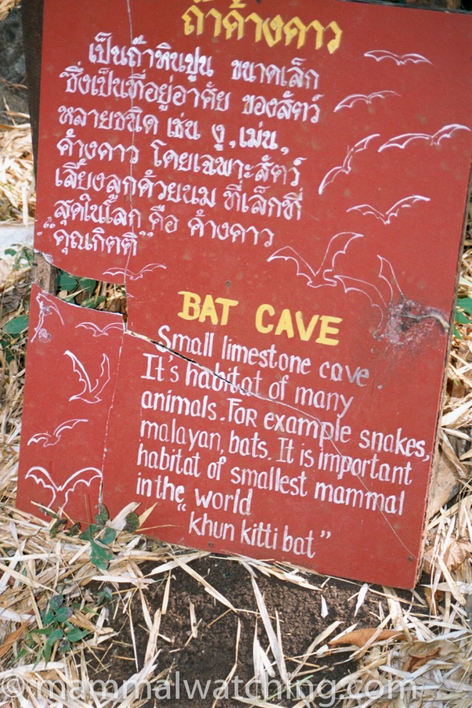 batcave