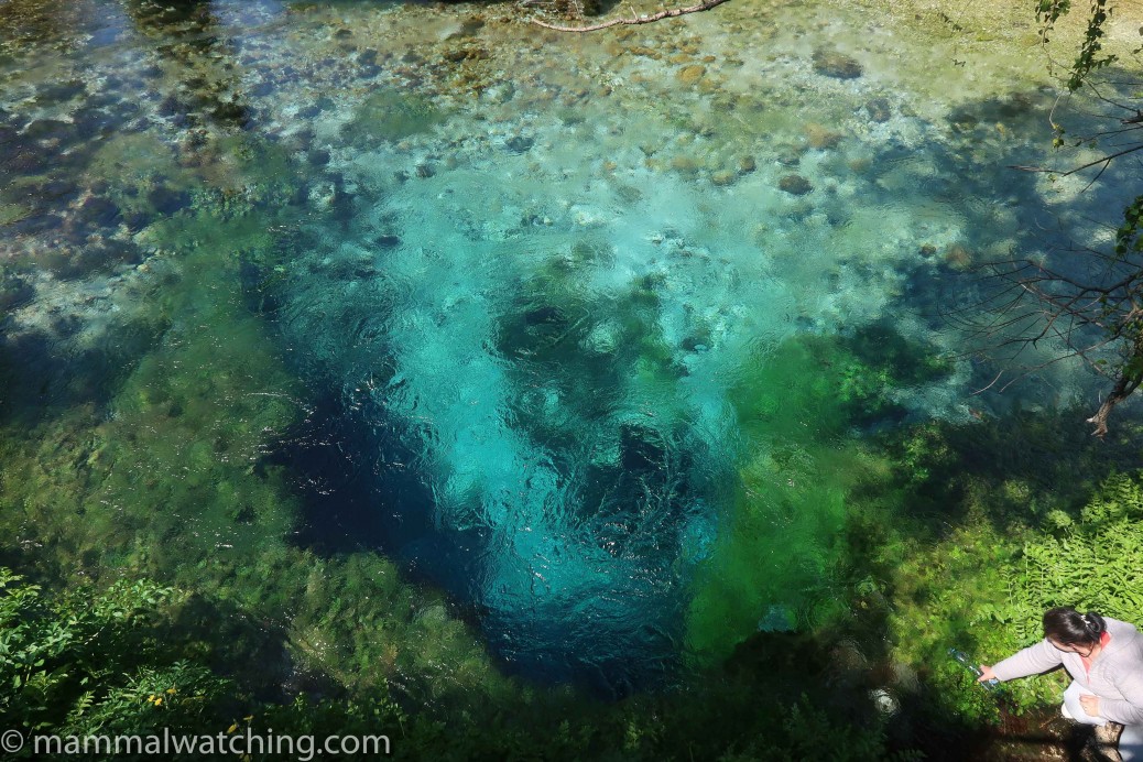 Albania Blue Eye