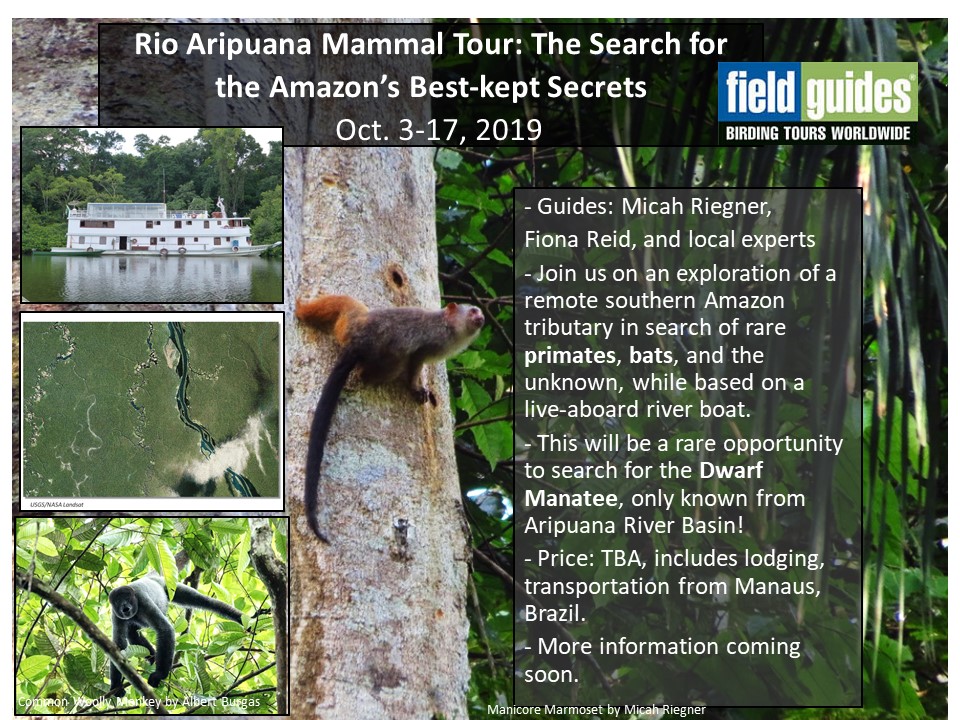 Field Guides Aripuana Mammal Tour