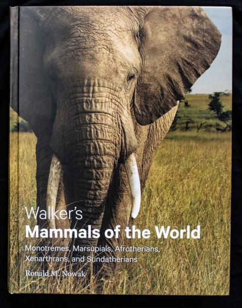 A Review (a long review) of the latest version of Walker’s Mammals of the World