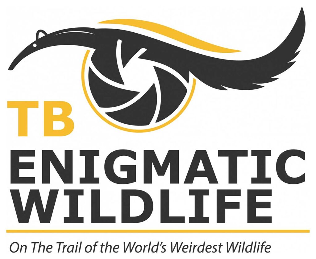 Logo TB Enigmatic Wildlife