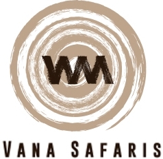 Vana Safaris