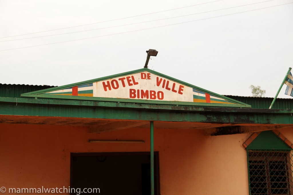 Central African Republic – Mammal Watching