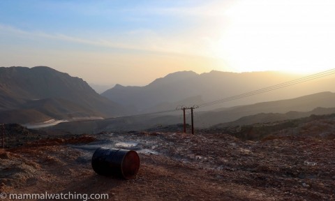 New Trip Report: Wadi Al Muaydin, Oman