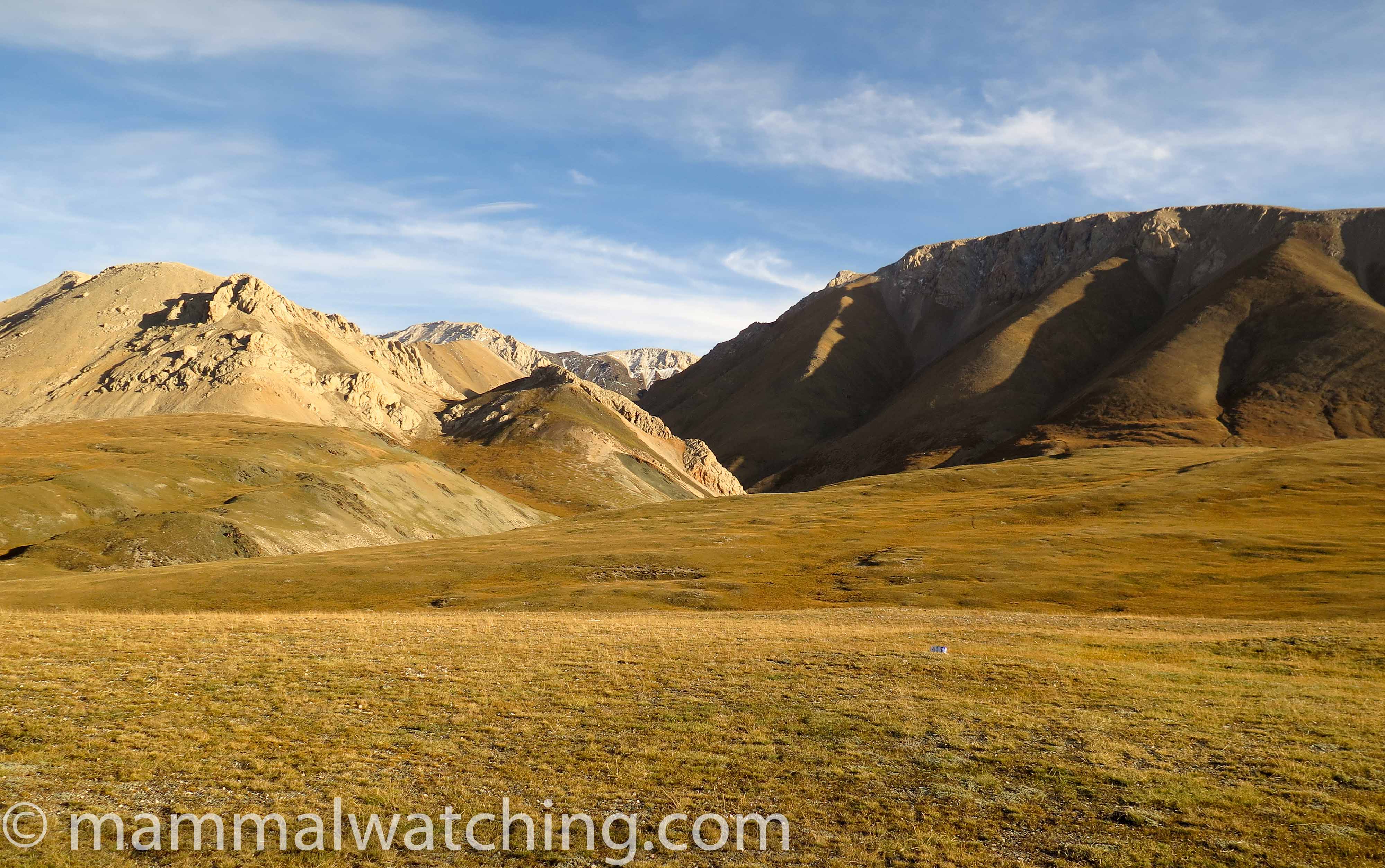 Altai Mountains