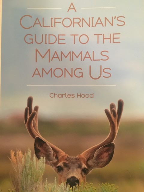 Book Review: A Californian’s Guide to the Mammals Among Us