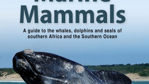 Book Review: Marine Mammals (of southern Africa and the Southern Ocean)