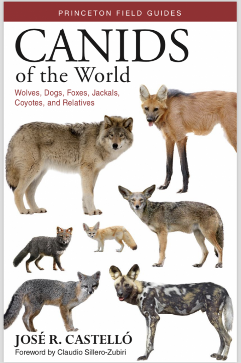 Book Review: Canids of the World