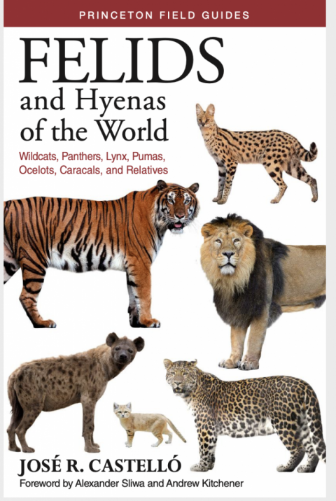Book Review: Felids and Hyenas of the World, José R. Castelló (Princeton Field Guide)