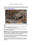 Snow leopard trip in Ladakh 2022 def