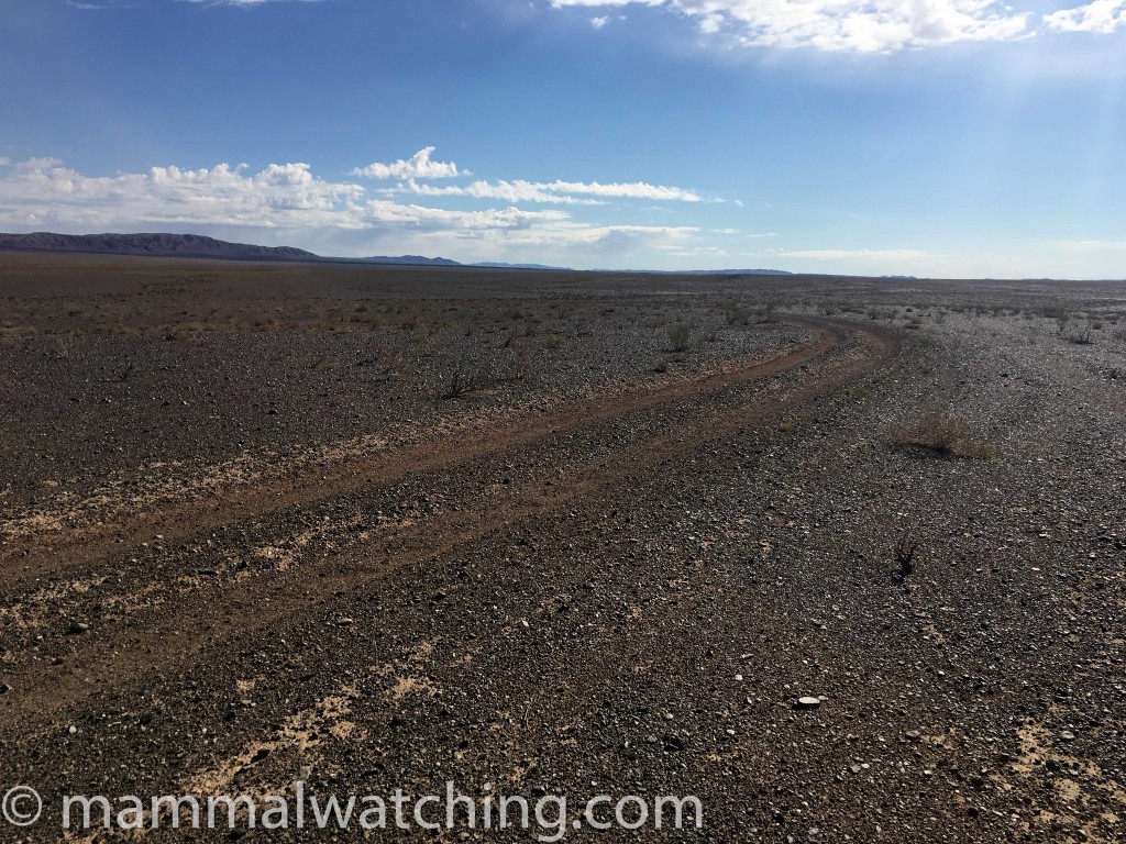 Gobi Highway