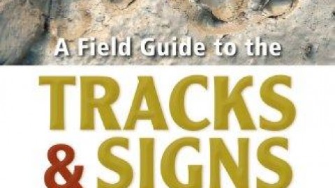 New Book Review: A Field Guide to the Tracks & Signs of Southern, Central & East African Wildlife